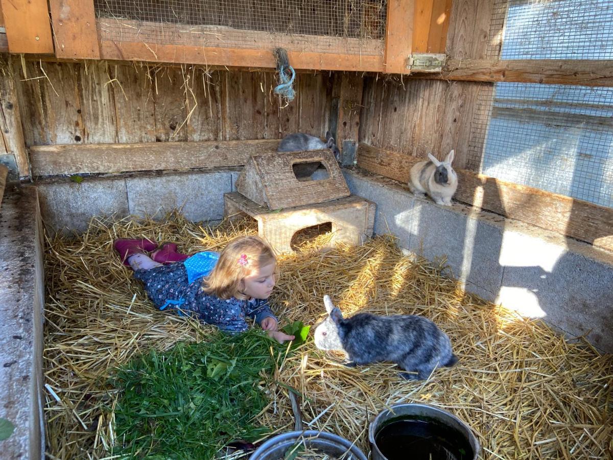 Steinakirchen Am Forst Familienbauernhof Strassbauer 빌라 외부 사진