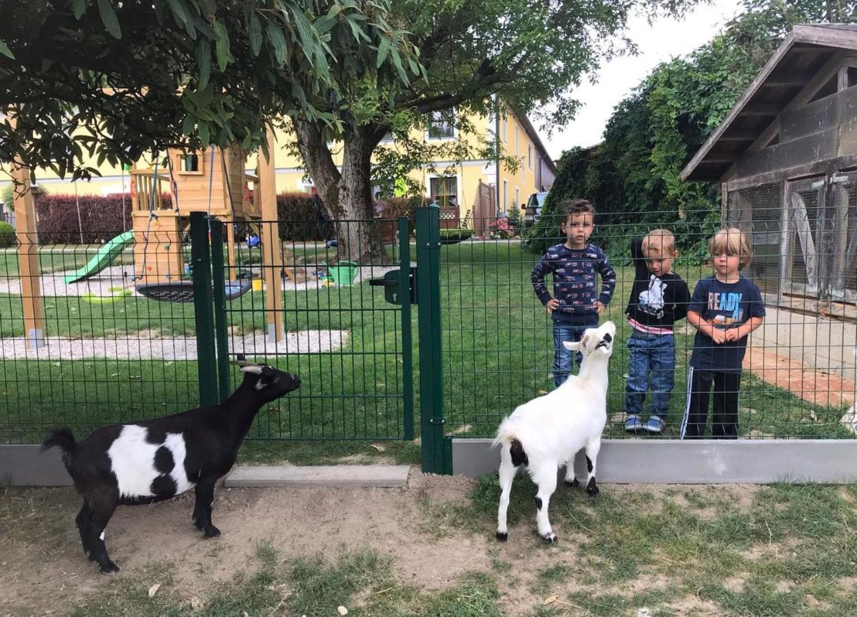 Steinakirchen Am Forst Familienbauernhof Strassbauer 빌라 외부 사진