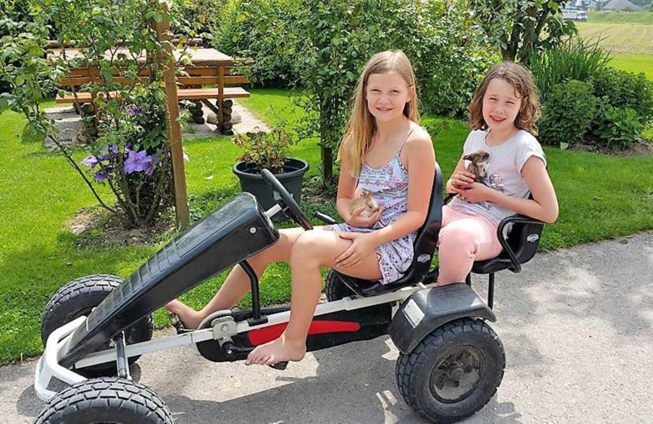 Steinakirchen Am Forst Familienbauernhof Strassbauer 빌라 외부 사진
